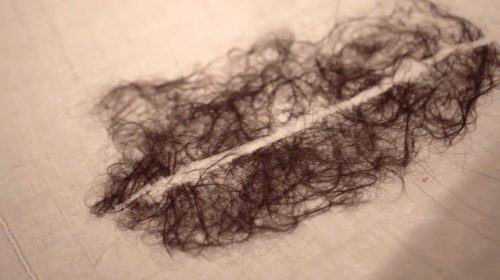 Hankie by Sadaf Naeem; Cotton cloth, human hairs, thread, hair spray, rice starch Sewing